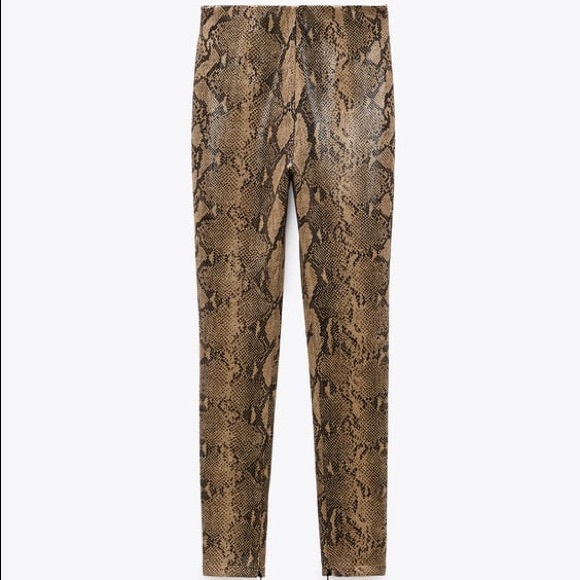 ZARA - ANIMAL PRINT COATED LEGGINGS - Picture 4 of 8